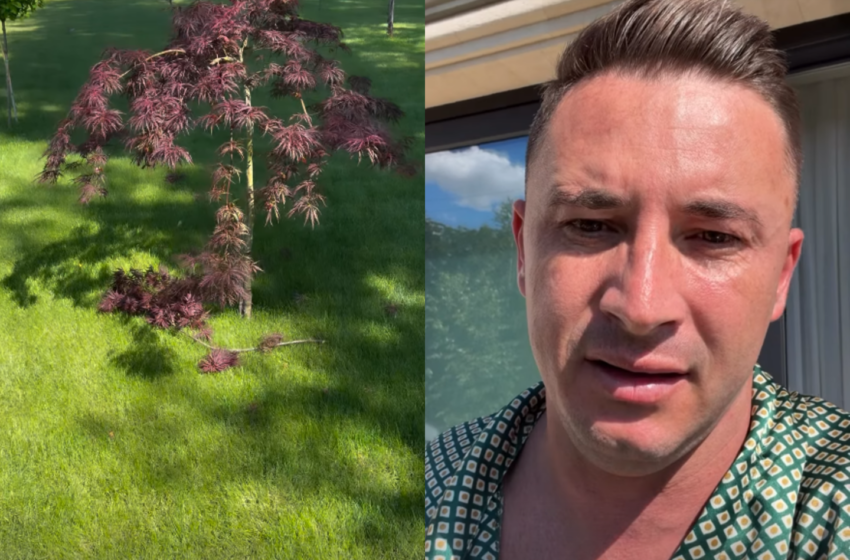  (VIDEO) „Sunteți niște măgari!” Emilian Crețu tună și fulgeră pe rețele după ce doi copii au distrus un copac din parcul actorului