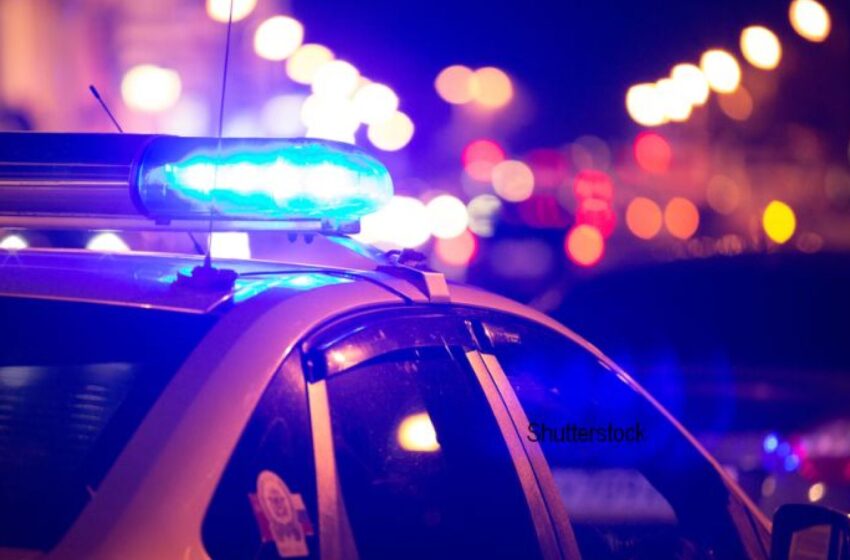  Descoperire macabră în Polonia. Rămăşiţele a 34 de fetuşi umani au fost descoperite în grădina unei doctoriţe
