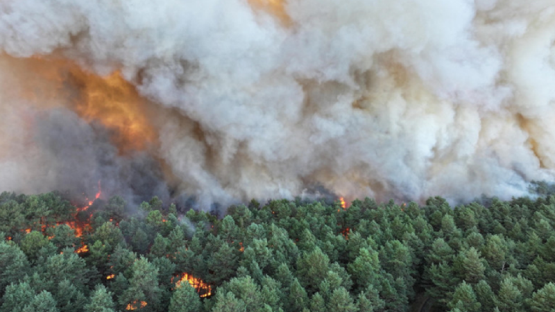  (VIDEO) Incendii forestiere de „amploare excepţională” în apropierea Parisului. Au fost mobilizați 400 de pompieri, avioane, elicoptere