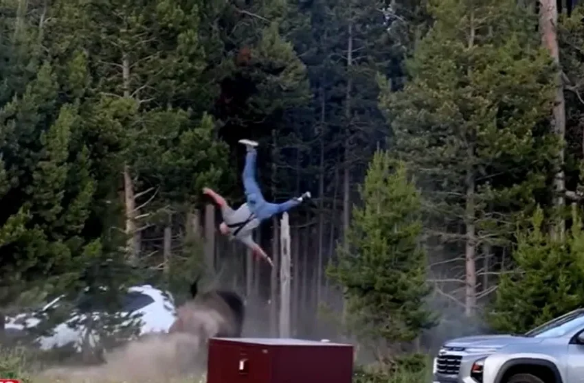  (VIDEO) Turist aruncat peste doi metri în aer de un bizon în Parcul Yellowstone. Martor: „Era extrem de agitat și ataca tot ce îi ieșea în cale”