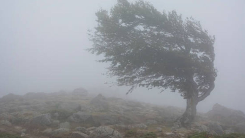  Alertă după alertă în Moldova: Meteorologii anunță cod galben de vânt puternic. Când intră în vigoare avertizarea