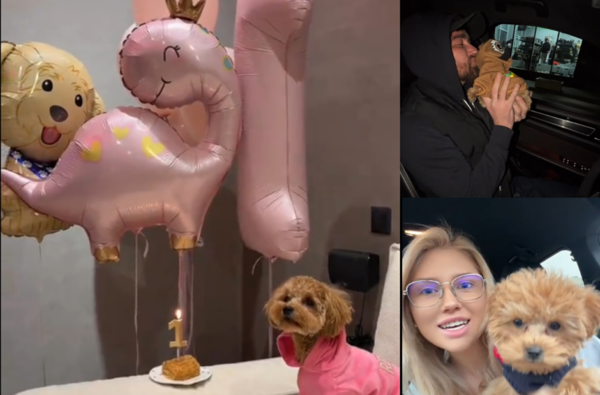  (VIDEO) Cel mai răsfățat membru al familiei! Cățelușa Vladei Boțan, Vivi, a împlinit un anișor: Bloggerița și logodnicul ei i-au pregătit o petrecere cu tort și baloane