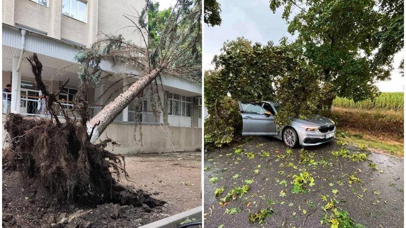  (FOTO) Acoperișuri smulse, copaci prăbușiți peste clădiri și mașini și drumuri blocate: Furtuna de aseară a pus pe alertă salvatorii în mai multe localități