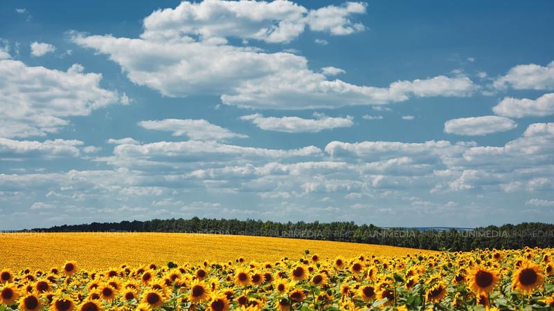  Sâmbătă cu cer senin și fără ploi: Meteorologii anunță până la 29 de grade, pentru astăzi