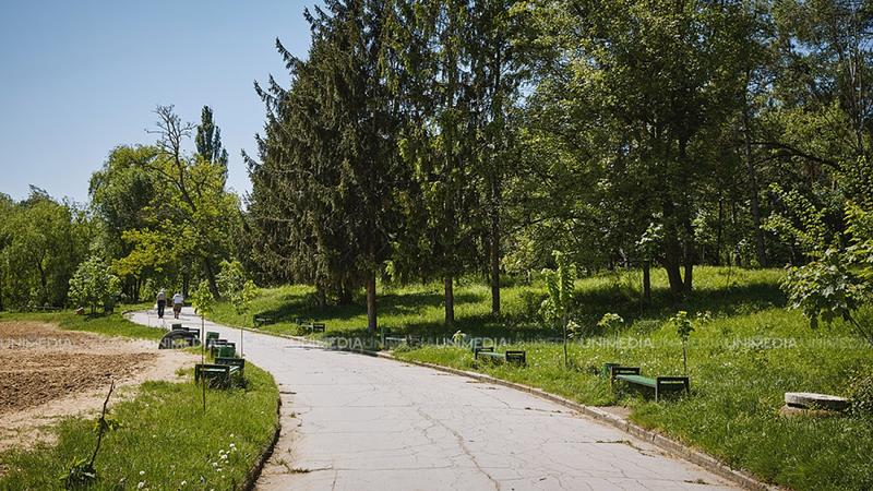 Vreme liniștită de august: Norii se adună, dar ploile ocolesc Moldova, astăzi