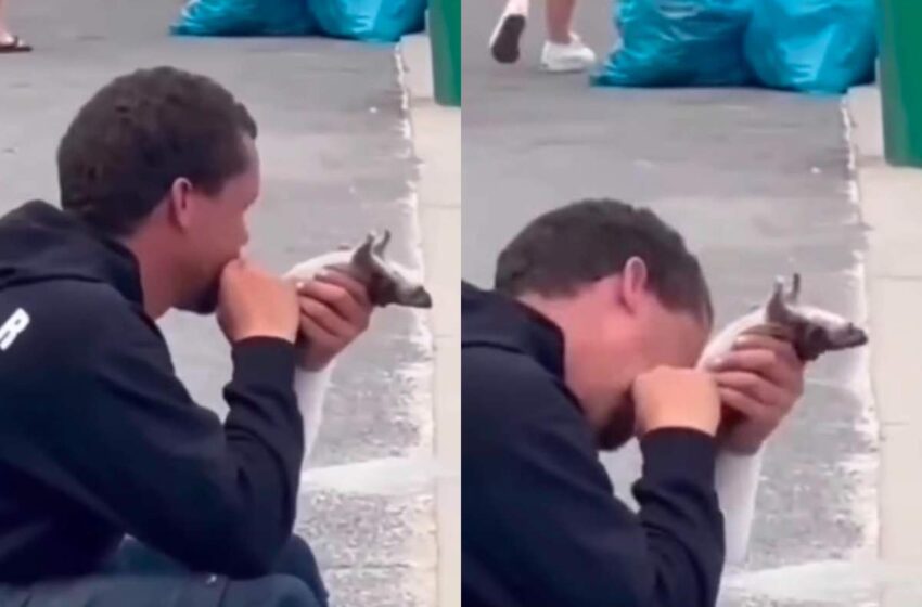 (VIDEO) Un migrant a fost surprins în timp ce mânca un șobolan mort pe stradă. Imaginile sunt greu de privit