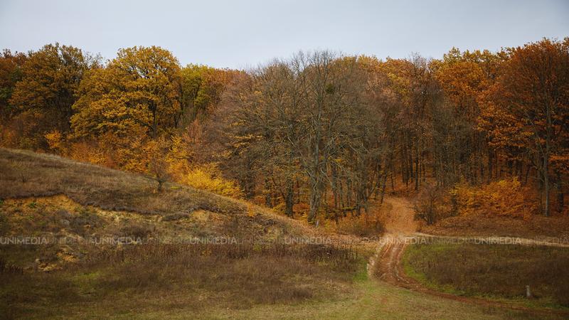  Zi liniștită de toamnă în Moldova: Meteorologii anunță soare blând și vreme uscată
