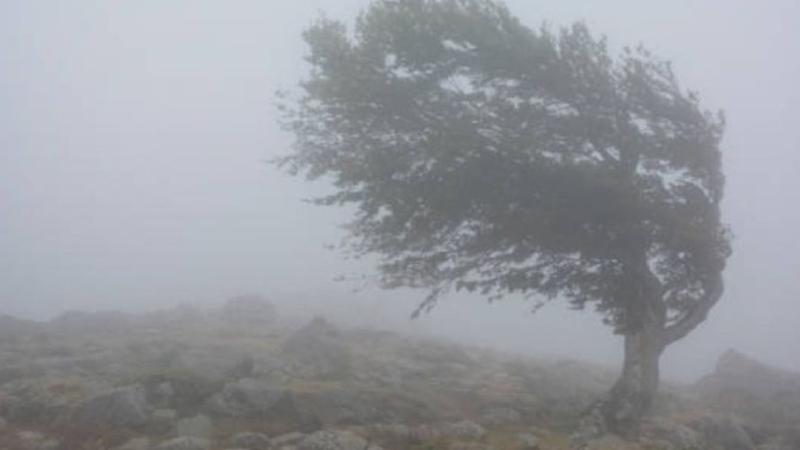  Alertă după alertă în Moldova: Meteorologii anunță cod galben de vânt puternic. Când intră în vigoare avertizarea