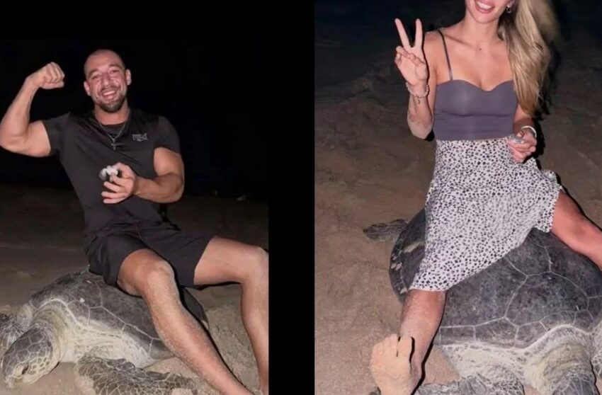  (VIDEO) Scenă scandaloasă pe o plajă! Doi turiști s-au filmat în timp ce călăreau o țestoasă marină care depunea ouă