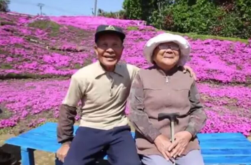  (VIDEO) Un bărbat a plantat mii de flori pentru soția sa nevăzătoare, în Japonia. Cum arată grădina care atrage turiști