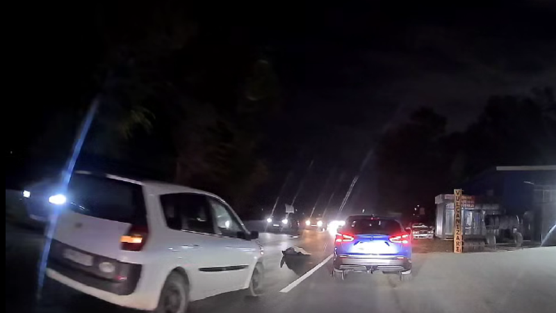  (VIDEO) Accident fatal la Sîngera: Un pieton, lovit mortal de un Renault în timp ce ar fi traversat strada neregulamentar