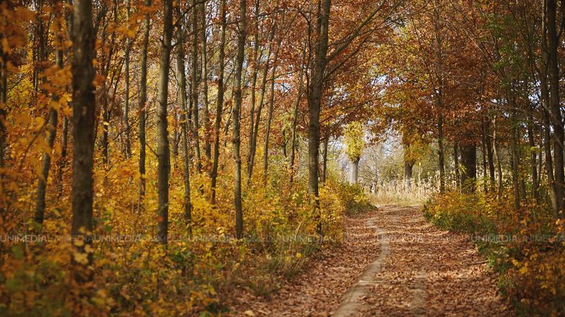  Ceață în prima parte a zilei, apoi soare din plin: Meteorologii anunță vreme neobișnuit de caldă astăzi