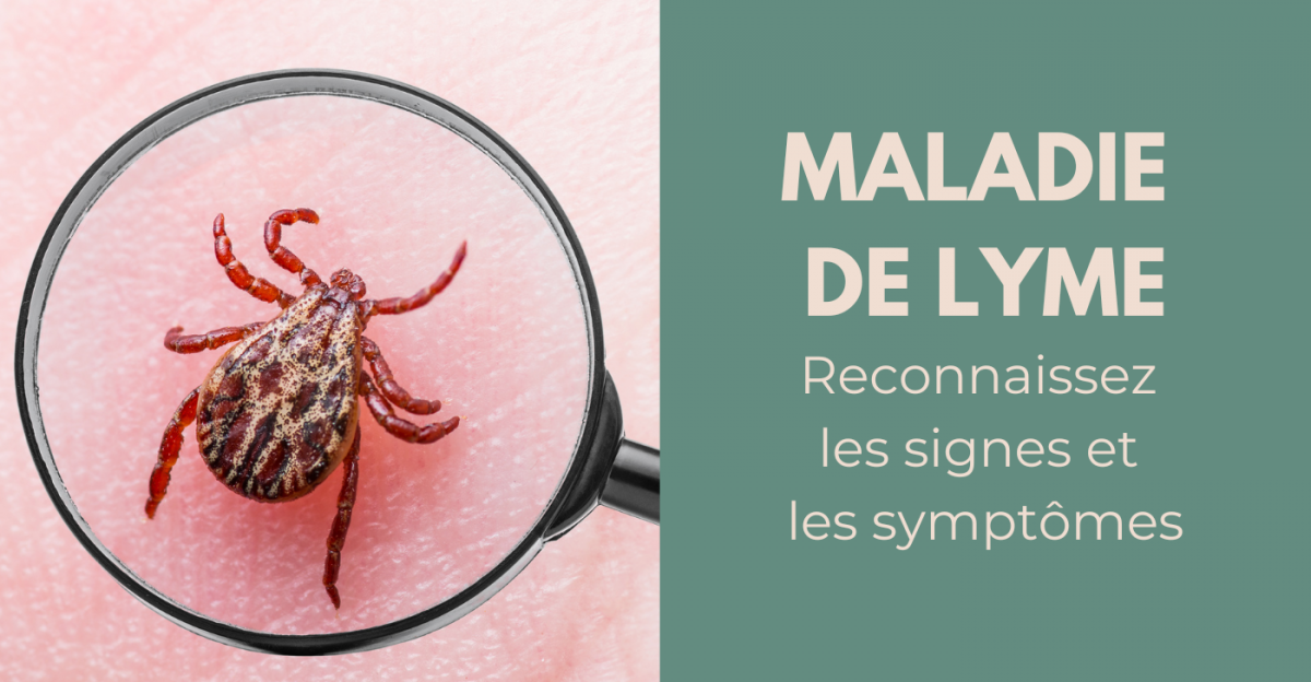 Maladie de Lyme, 3 choses à savoir