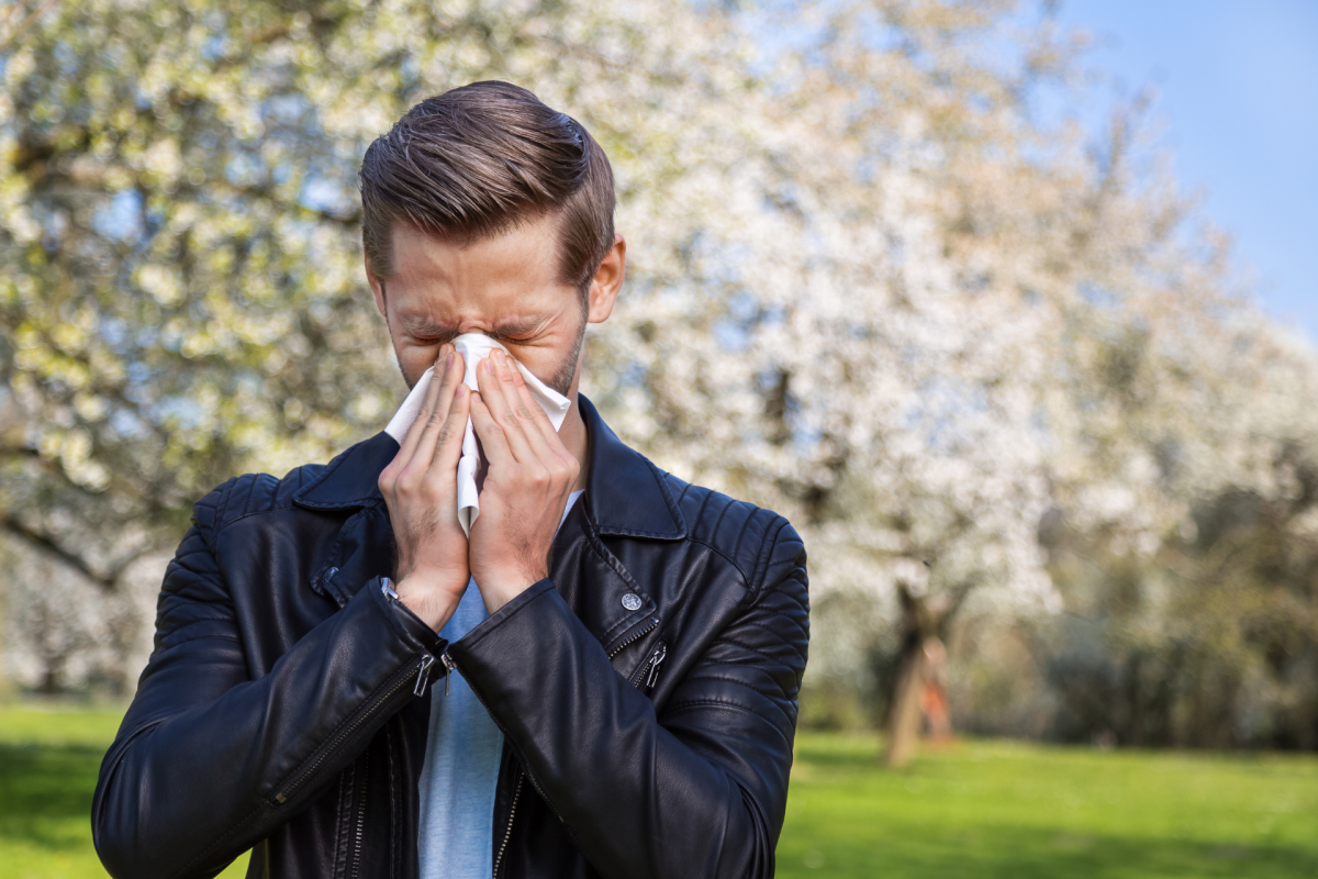 Allergies aux pollens : quels sont les traitements ?