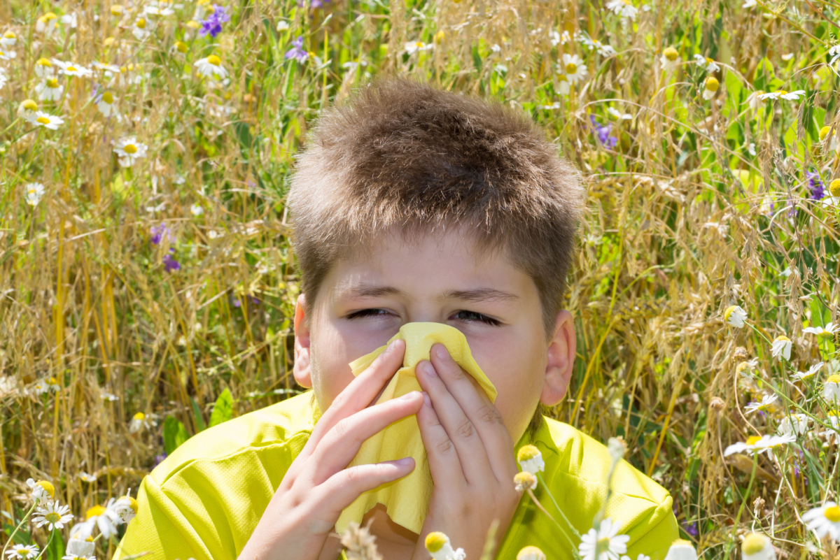 Allergie aux pollens : 14 réflexes à adopter