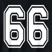 sixty six