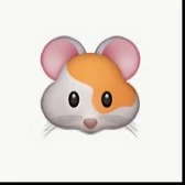 Mad Hamster