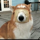 Image not available
