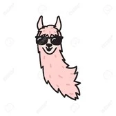 Image not available