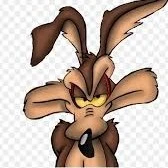 Raúl RACoyote
