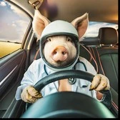 Doctor Porkchop
