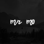 Mr Mo