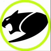 Cougar Black