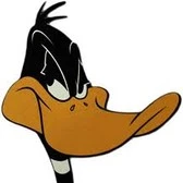 Ente Ente