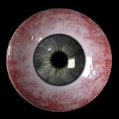 DE Auge