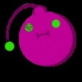 Image not available