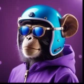Mester Monkie