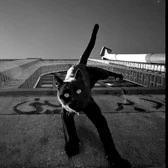 Torsten Frank