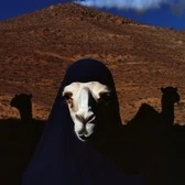 Gaith Yacoubi
