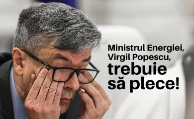 Pollyanna Hangan: Există interese ca termocentrala Mintia să fie vândută pe nimic