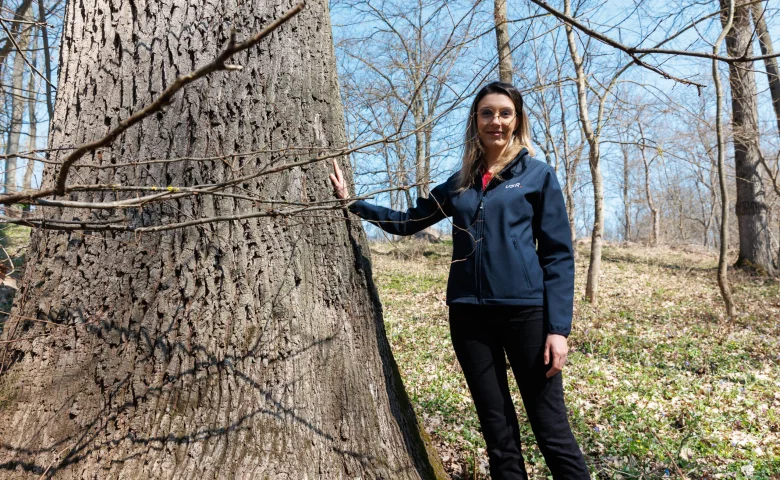 Ministra Diana Buzoianu a publicat proiectul ordinului pentru protejarea arborilor remarcabili