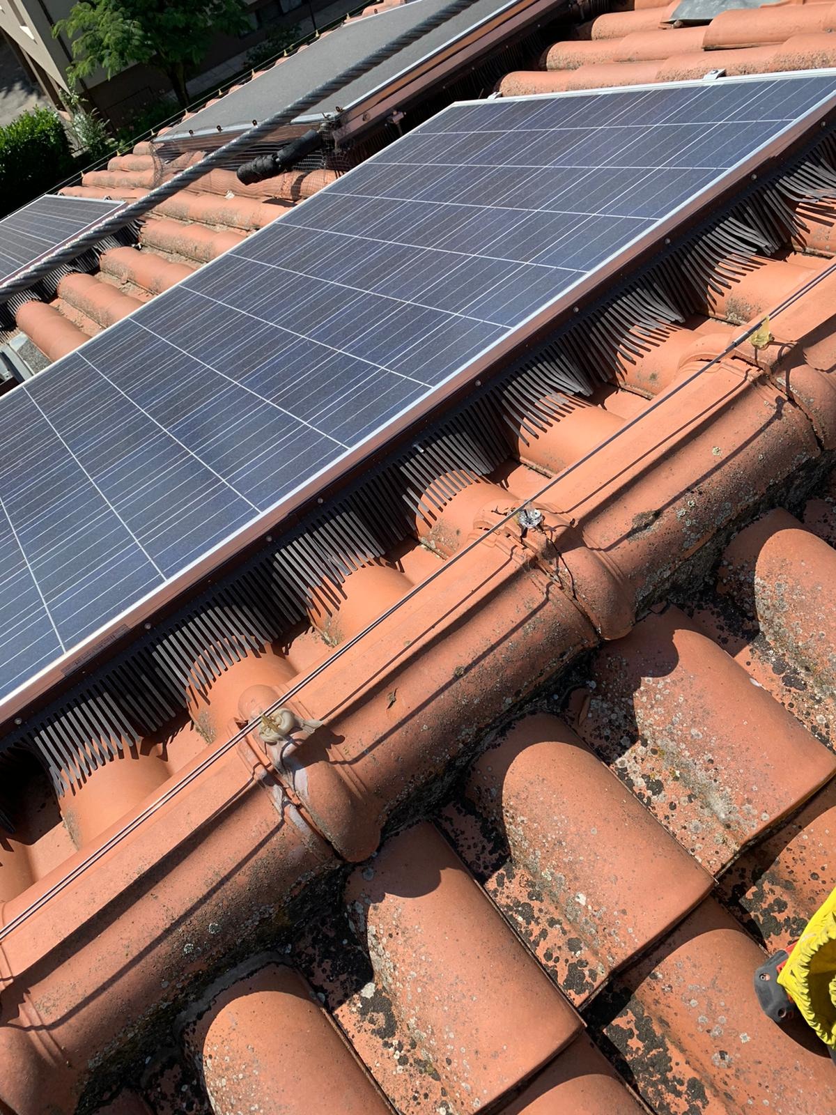 barriere anti piccioni fotovoltaico