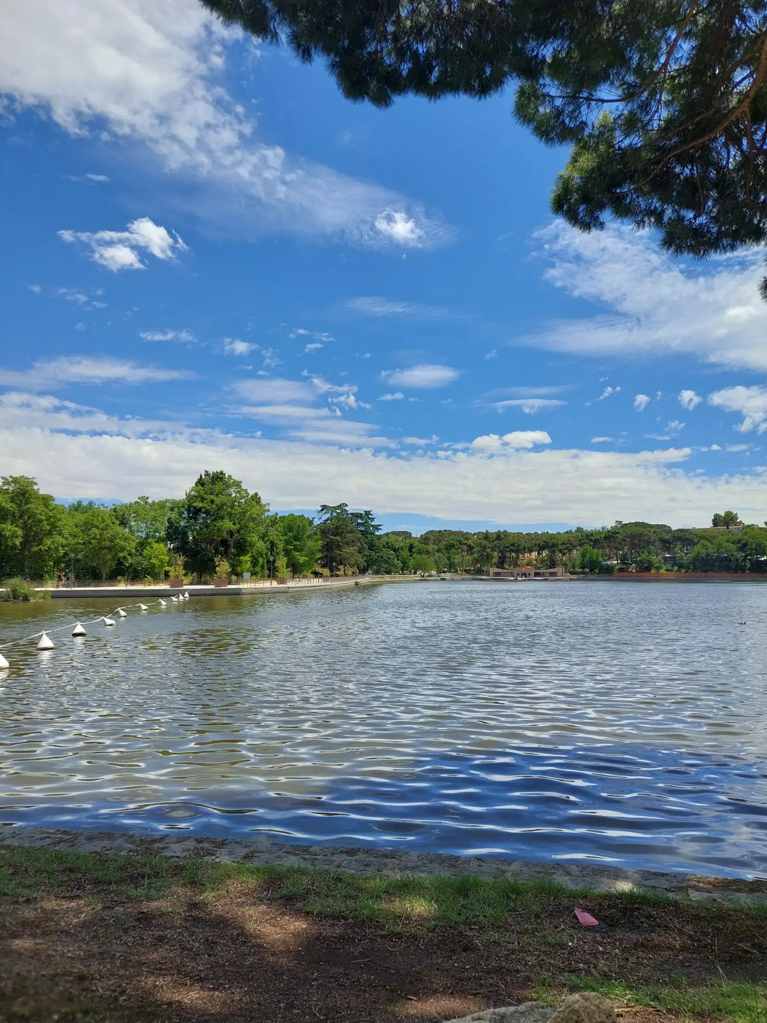 The lake at Casa de Campo park in Madrid on a sunny day, with trees lining the shore and a blue sky with white clouds.