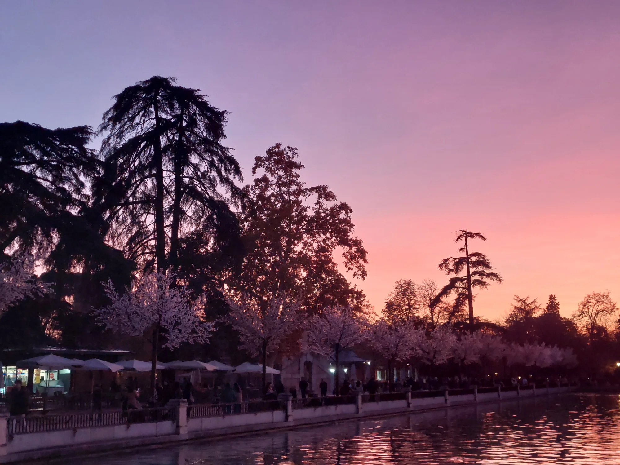 Promenade along the lake in Retiro Park at sunset, with trees and a pink sky reflected in the water.