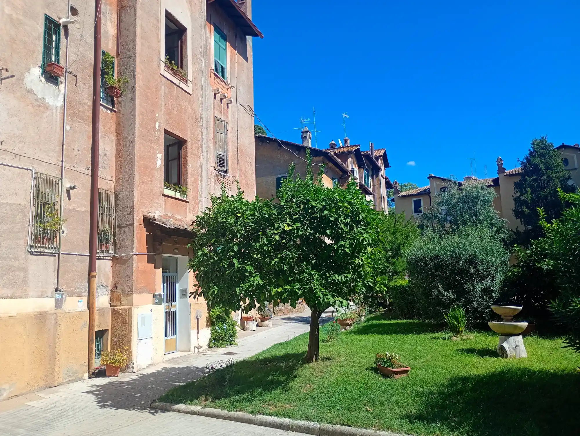 A sunlit residential building in Rome with a small green lawn, an orange tree, and a bright blue sky.