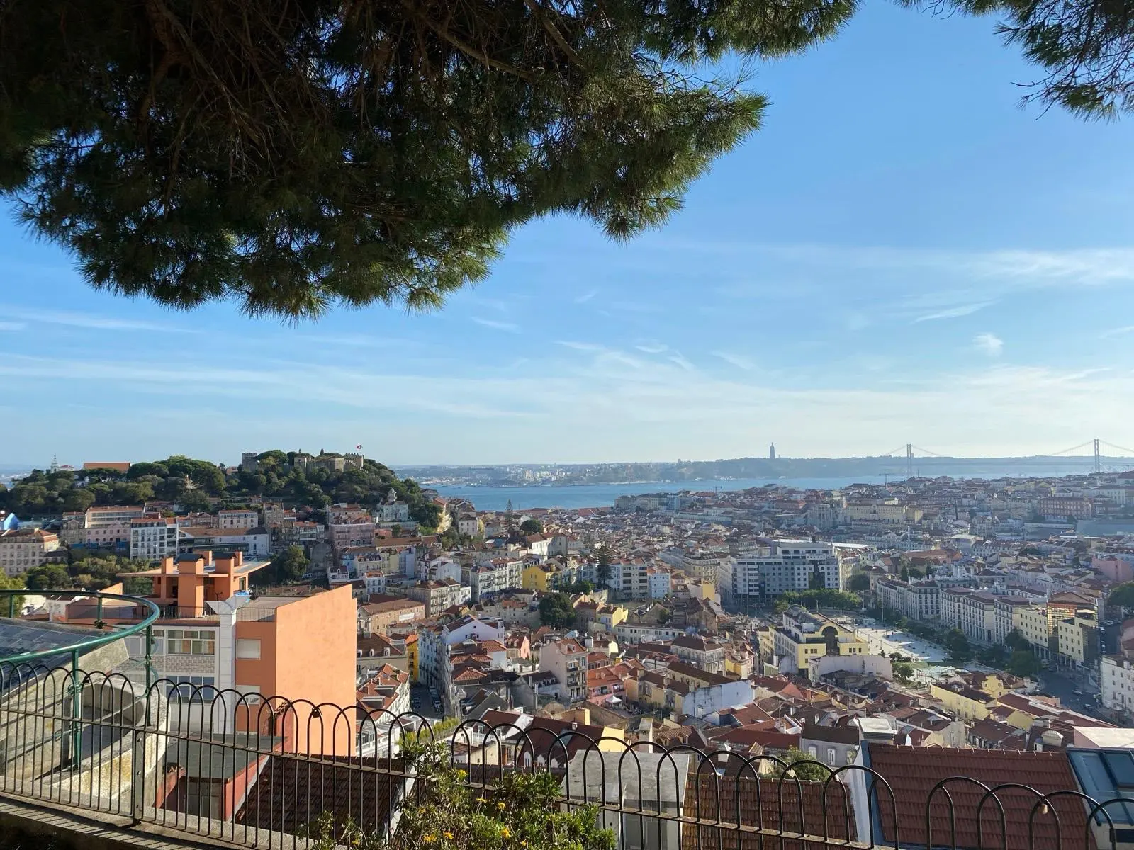Sunny panoramic view of Lisbon, with St. George's Castle and the Tagus River, framed by a pine branch from above.