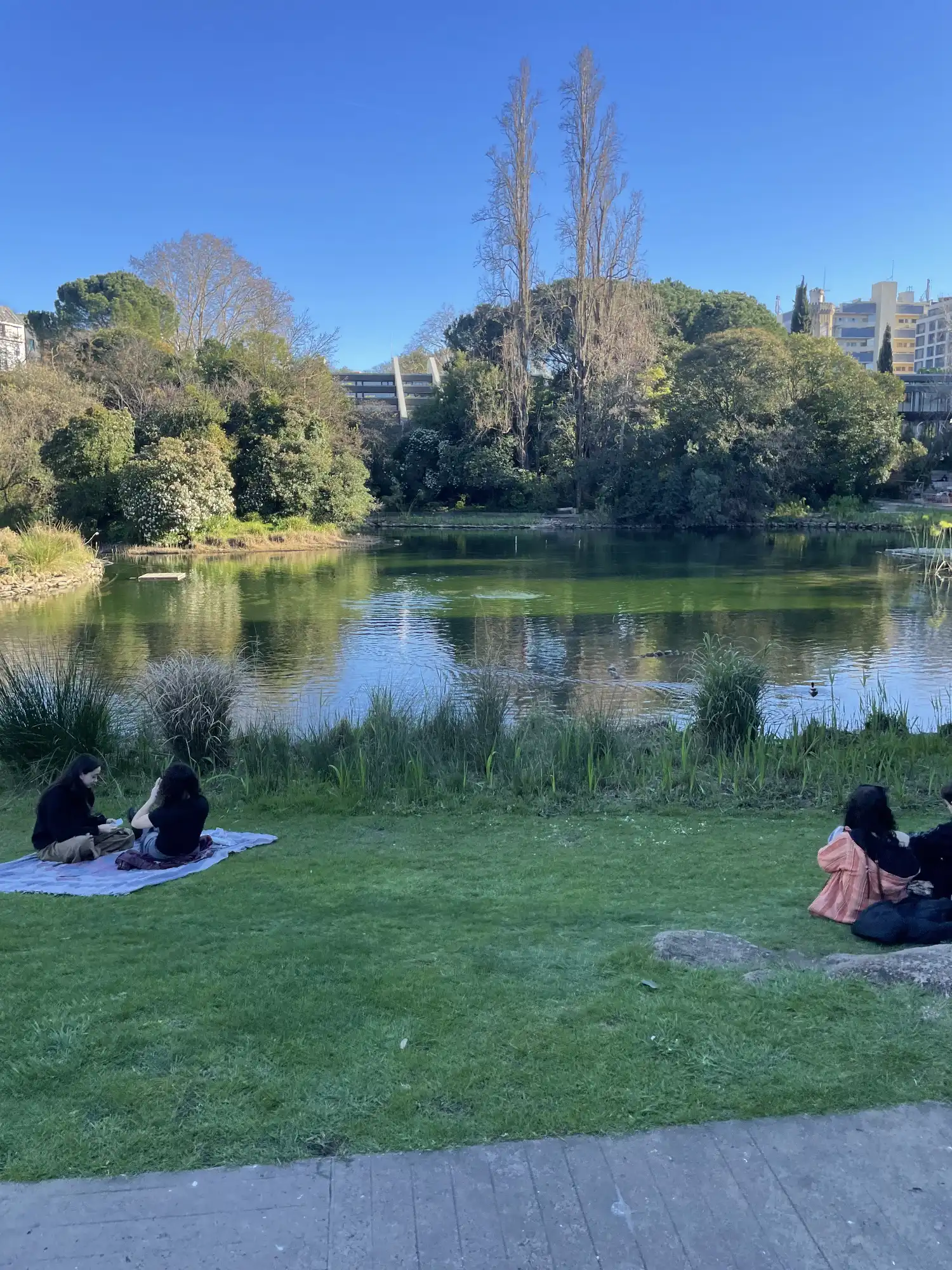 lisbon-gulbenkian-gardens-relax-a4g8h.webp