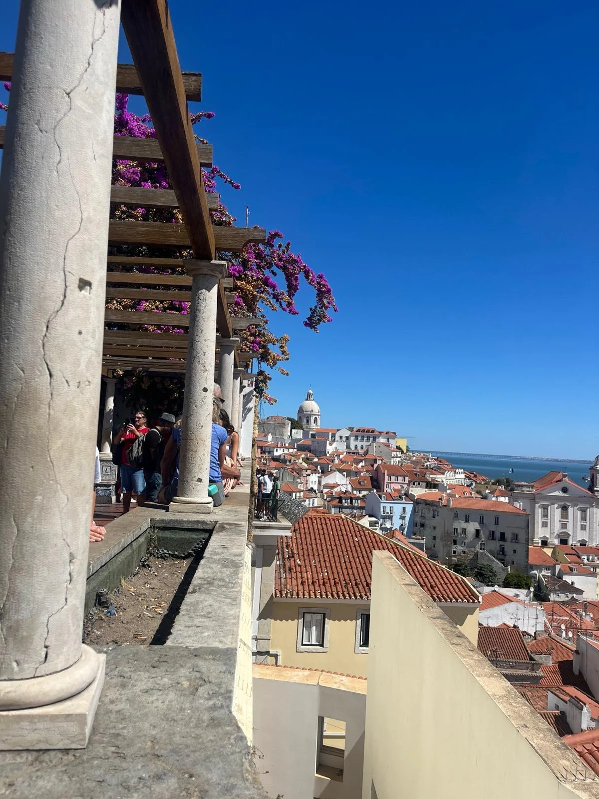View over the rooftops of Lisbon's Alfama district from the Miradouro de Santa Luzia on a sunny day.