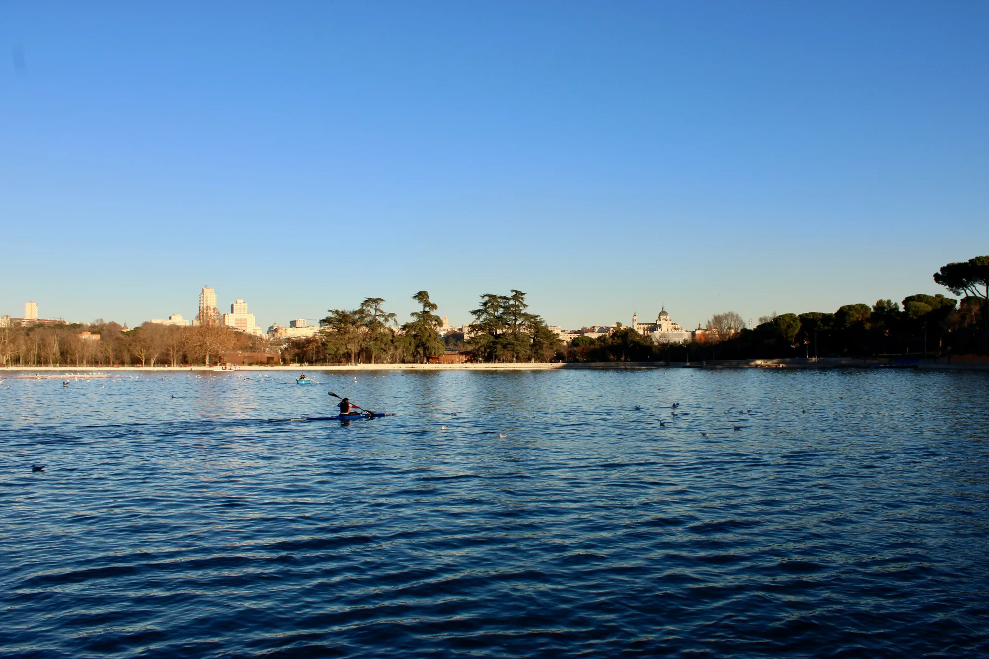 A person in a kayak on the lake in Madrid's Retiro Park, with the city skyline visible on the horizon.