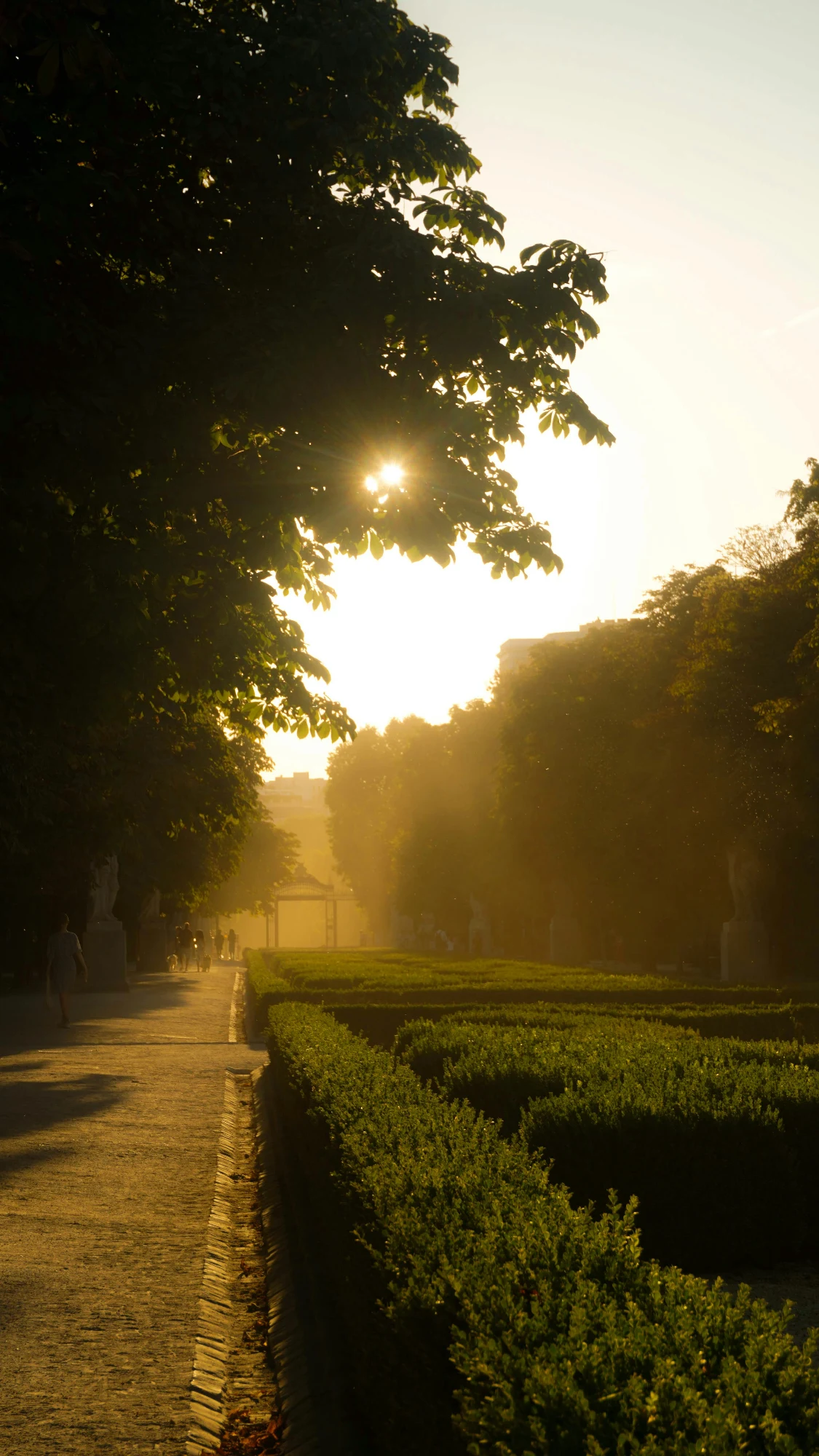 La luz dorada del atardecer se filtra entre los árboles sobre un sendero en el Parque del Retiro de Madrid.