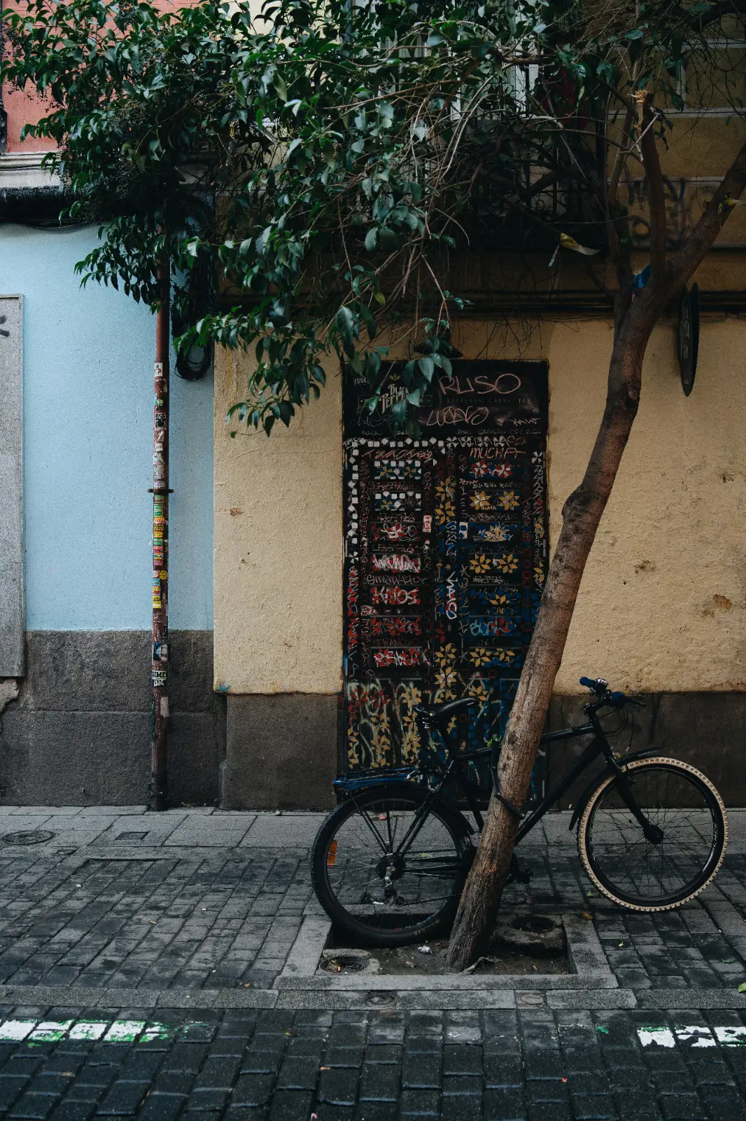 A bicycle leans against a tree on a sidewalk next to a door covered in colourful graffiti.