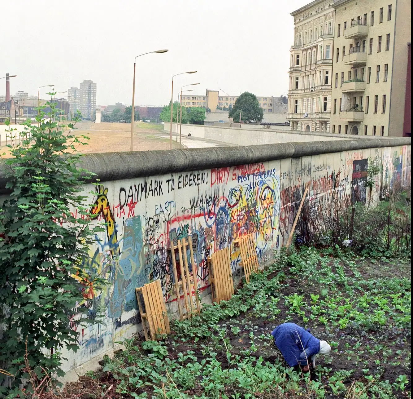 Eine Person pflegt ein Gemüsebeet direkt an der bemalten Berliner Mauer mit dem Todesstreifen im Hintergrund.