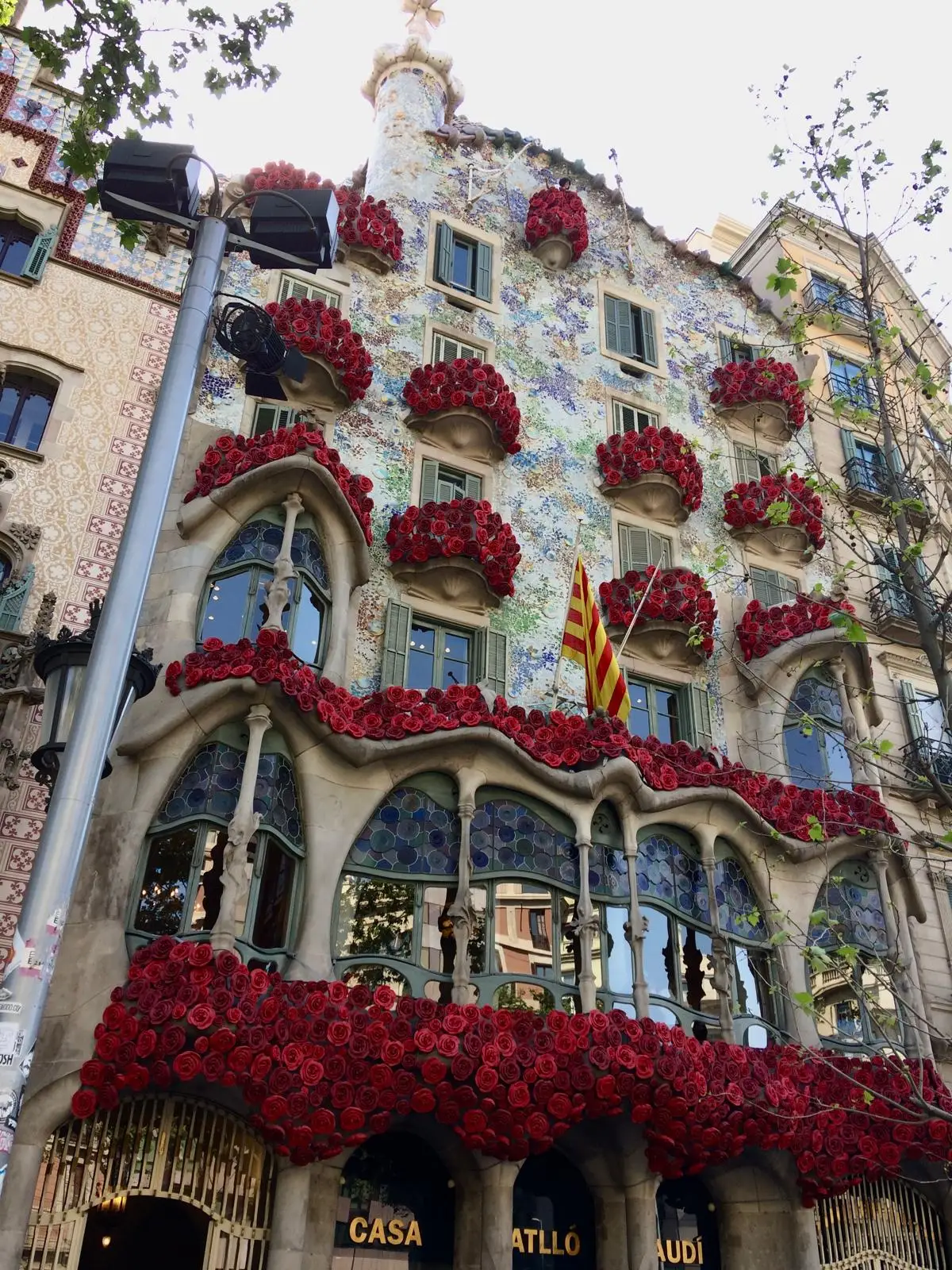 La fachada de la Casa Batlló en Barcelona, adornada con numerosas rosas rojas. Se aprecia la arquitectura orgánica de Gaudí.