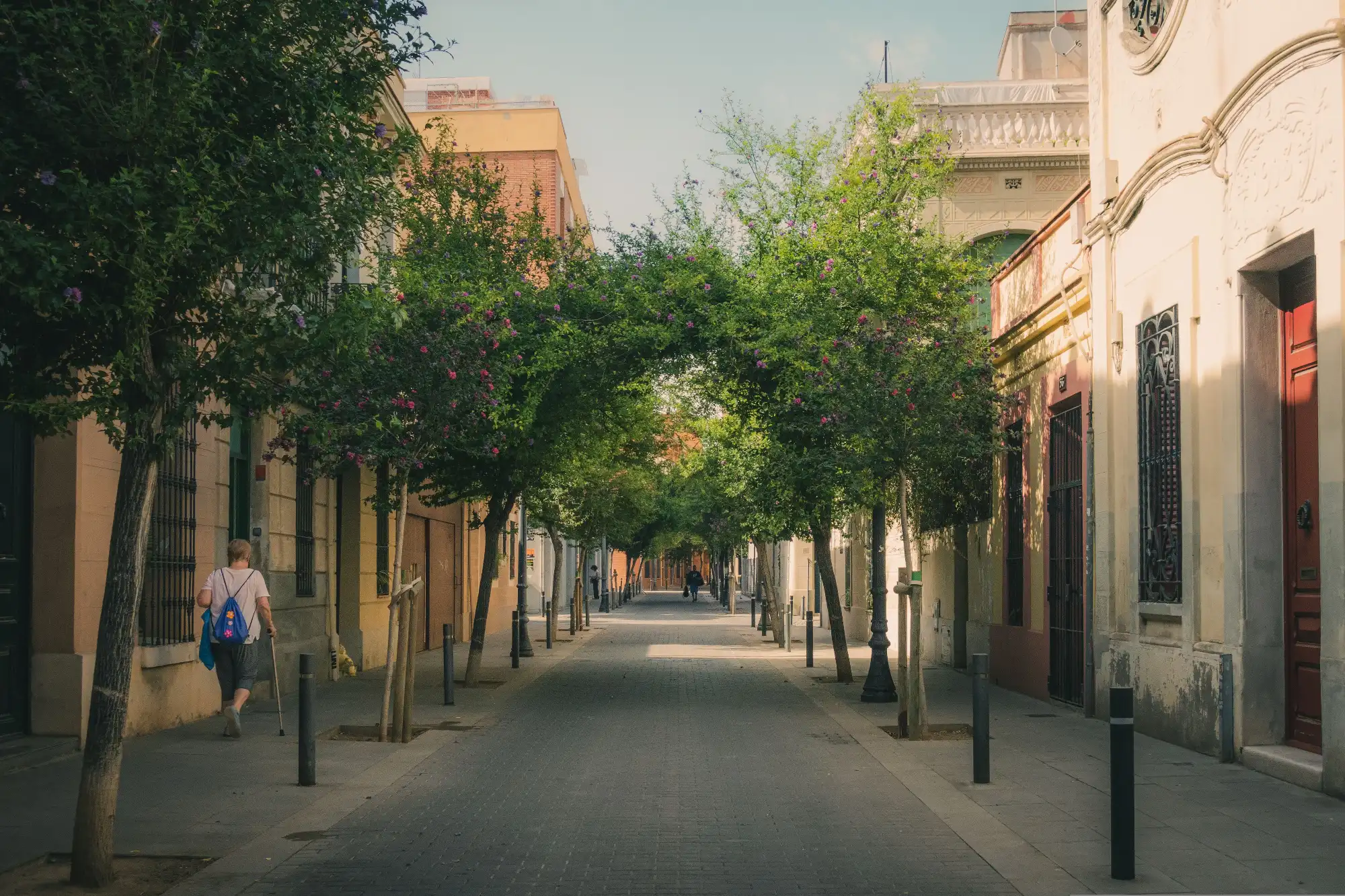 A quiet, tree-lined pedestrian street in Barcelona, with traditional buildings and a few people walking in the distance.