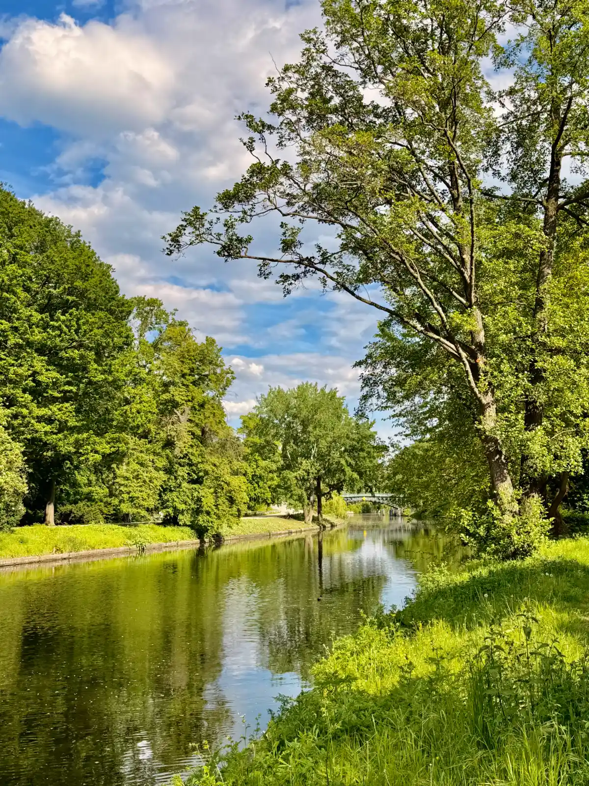 A wide canal in Berlin's Tiergarten park on a sunny day, with lush green trees lining the banks.