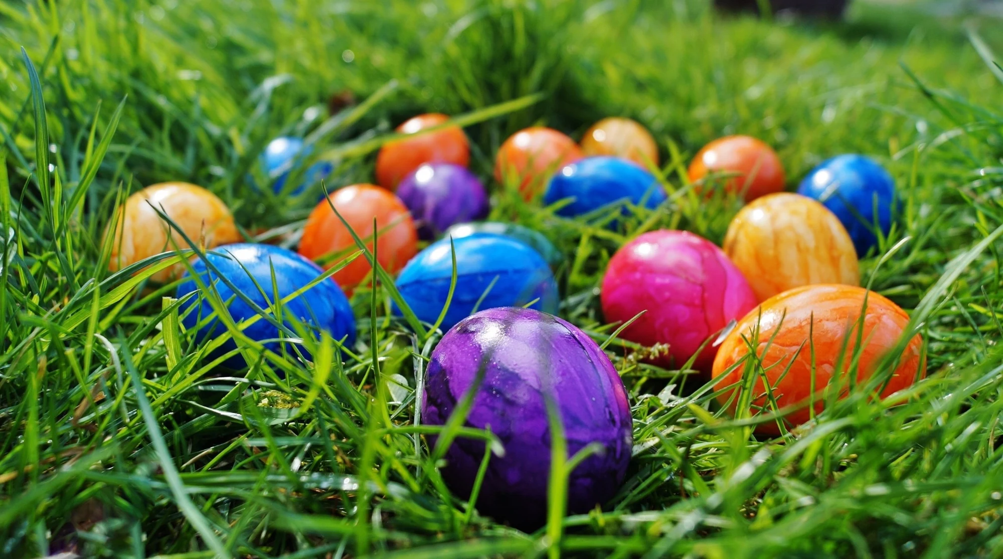 Colorful Easter eggs in purple, blue, orange, yellow, and pink, nestled in bright green grass under sunlight.
